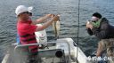 Filename=attachID_22658_postID_207799_DSC03643.JPG
Filesize=109KiB
Dimensions=1000x562
Date added=Dec 02, 2016 attachID_22658_postID_207799_DSC03643.JPG