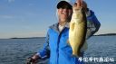 Filename=attachID_22661_postID_207799_DSC03652.JPG
Filesize=70KiB
Dimensions=1000x562
Date added=Dec 02, 2016 attachID_22661_postID_207799_DSC03652.JPG