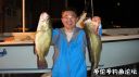Filename=attachID_22664_postID_207799_DSC03659.JPG
Filesize=70KiB
Dimensions=1000x562
Date added=Dec 02, 2016 attachID_22664_postID_207799_DSC03659.JPG