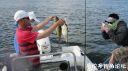 Filename=attachID_22689_postID_208045_DSC03642.JPG
Filesize=109KiB
Dimensions=1000x562
Date added=Dec 02, 2016 attachID_22689_postID_208045_DSC03642.JPG