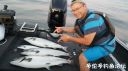 Filename=attachID_22785_postID_208896_20160716_210650.jpg
Filesize=79KiB
Dimensions=1000x562
Date added=Dec 02, 2016 attachID_22785_postID_208896_20160716_210650.jpg