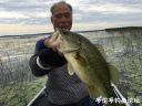 Filename=attachID_22988_postID_210715_image.jpeg
Filesize=134KiB
Dimensions=1000x750
Date added=Dec 02, 2016 attachID_22988_postID_210715_image.jpeg