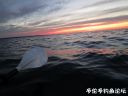 Filename=attachID_22996_postID_210750_2.jpg
Filesize=67KiB
Dimensions=1000x750
Date added=Dec 02, 2016 attachID_22996_postID_210750_2.jpg
