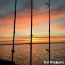 Filename=attachID_23012_postID_210780_image.jpeg
Filesize=95KiB
Dimensions=1000x1000
Date added=Dec 02, 2016 attachID_23012_postID_210780_image.jpeg
