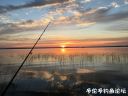 Filename=attachID_23013_postID_210780_image.jpeg
Filesize=99KiB
Dimensions=1000x750
Date added=Dec 02, 2016 attachID_23013_postID_210780_image.jpeg
