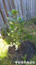 Filename=attachID_23062_postID_211205_20160726_073543.jpg
Filesize=126KiB
Dimensions=562x1000
Date added=Dec 02, 2016 attachID_23062_postID_211205_20160726_073543.jpg
