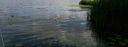 Filename=attachID_23126_postID_211963_IMG_20160730_003631.jpg
Filesize=106KiB
Dimensions=635x236
Date added=Dec 02, 2016 attachID_23126_postID_211963_IMG_20160730_003631.jpg