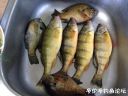 Filename=attachID_23135_postID_212014_image.jpeg
Filesize=107KiB
Dimensions=1000x750
Date added=Dec 02, 2016 attachID_23135_postID_212014_image.jpeg