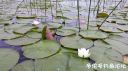 Filename=attachID_23142_postID_212105_20160731_095819.jpg
Filesize=105KiB
Dimensions=1000x562
Date added=Dec 02, 2016 attachID_23142_postID_212105_20160731_095819.jpg