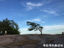 Filename=attachID_23196_postID_212599_IMG_0089.JPG
Filesize=78KiB
Dimensions=1000x750
Date added=Dec 02, 2016 attachID_23196_postID_212599_IMG_0089.JPG