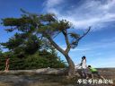 Filename=attachID_23202_postID_212618_IMG_1924.JPG
Filesize=134KiB
Dimensions=1000x750
Date added=Dec 02, 2016 attachID_23202_postID_212618_IMG_1924.JPG