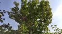 Filename=attachID_23225_postID_212821_20160805_084415_HDR.jpg
Filesize=131KiB
Dimensions=1000x562
Date added=Dec 02, 2016 attachID_23225_postID_212821_20160805_084415_HDR.jpg
