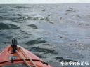 Filename=attachID_23235_postID_212959_4.jpg
Filesize=118KiB
Dimensions=992x744
Date added=Dec 02, 2016 attachID_23235_postID_212959_4.jpg
