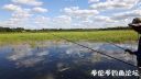 Filename=attachID_23295_postID_213423_20160807_164138.jpg
Filesize=91KiB
Dimensions=922x519
Date added=Dec 02, 2016 attachID_23295_postID_213423_20160807_164138.jpg