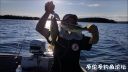 Filename=attachID_23410_postID_214426__00k.jpg
Filesize=72KiB
Dimensions=1000x565
Date added=Dec 02, 2016 attachID_23410_postID_214426__00k.jpg
