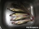 Filename=attachID_23513_postID_215373_IMG_0295.JPG
Filesize=83KiB
Dimensions=1000x750
Date added=Dec 02, 2016 attachID_23513_postID_215373_IMG_0295.JPG