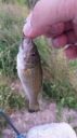 Filename=attachID_23565_postID_215957_20160825_193714.jpg
Filesize=53KiB
Dimensions=562x1000
Date added=Dec 02, 2016 attachID_23565_postID_215957_20160825_193714.jpg