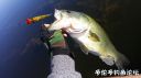 Filename=attachID_23660_postID_217241_20160903_100051.jpg
Filesize=68KiB
Dimensions=1000x562
Date added=Dec 02, 2016 attachID_23660_postID_217241_20160903_100051.jpg