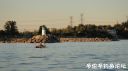 Filename=attachID_23863_postID_218840_canw8.jpg
Filesize=62KiB
Dimensions=1000x562
Date added=Dec 02, 2016 attachID_23863_postID_218840_canw8.jpg