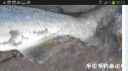Filename=attachID_24026_postID_220484_Screenshot_2016-09-24-09-23-19.png
Filesize=404KiB
Dimensions=1000x562
Date added=Dec 02, 2016 attachID_24026_postID_220484_Screenshot_2016-09-24-09-23-19.png