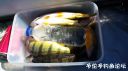 Filename=attachID_24309_postID_223450_20161010_135728.jpg
Filesize=75KiB
Dimensions=1000x562
Date added=Dec 02, 2016 attachID_24309_postID_223450_20161010_135728.jpg