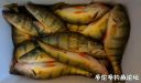 Filename=attachID_24398_postID_224076__00u.jpg
Filesize=76KiB
Dimensions=1000x589
Date added=Dec 02, 2016 attachID_24398_postID_224076__00u.jpg