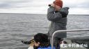 Filename=attachID_24598_postID_226191_a17.jpg
Filesize=78KiB
Dimensions=1000x562
Date added=Dec 02, 2016 attachID_24598_postID_226191_a17.jpg