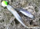 Filename=attachID_24837_postID_227547_4.jpg
Filesize=129KiB
Dimensions=982x731
Date added=Dec 02, 2016 attachID_24837_postID_227547_4.jpg