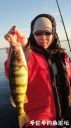 Filename=attachID_25093_postID_228973_DSC04637.JPG
Filesize=74KiB
Dimensions=562x1000
Date added=Dec 02, 2016 attachID_25093_postID_228973_DSC04637.JPG