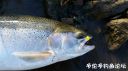 Filename=attachID_25148_postID_229838_IMG-20161108-WA0001.jpg
Filesize=82KiB
Dimensions=1000x562
Date added=Dec 02, 2016 attachID_25148_postID_229838_IMG-20161108-WA0001.jpg