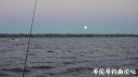 Filename=attachID_25188_postID_230365_DSC04712.JPG
Filesize=56KiB
Dimensions=1000x562
Date added=Dec 02, 2016 attachID_25188_postID_230365_DSC04712.JPG