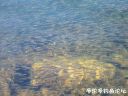 Filename=attachID_25211_postID_230600_minnows.jpg
Filesize=102KiB
Dimensions=1000x750
Date added=Dec 02, 2016 attachID_25211_postID_230600_minnows.jpg