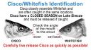 Filename=attachID_2531_postID_18900_herring2.jpg
Filesize=51KiB
Dimensions=528x293
Date added=Dec 02, 2016 attachID_2531_postID_18900_herring2.jpg