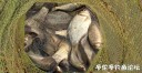 Filename=attachID_26000_postID_238857_08a.jpg
Filesize=125KiB
Dimensions=1000x516
Date added=Jan 05, 2017 attachID_26000_postID_238857_08a.jpg