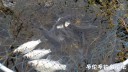 Filename=attachID_26001_postID_238857_08b.jpg
Filesize=102KiB
Dimensions=1000x565
Date added=Jan 05, 2017 attachID_26001_postID_238857_08b.jpg