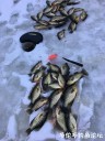 Filename=attachID_26175_postID_240280_IMG_2638.JPG
Filesize=118KiB
Dimensions=750x1000
Date added=Jan 05, 2017 attachID_26175_postID_240280_IMG_2638.JPG