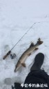 Filename=attachID_26197_postID_240389_IMG_2626.JPG
Filesize=47KiB
Dimensions=562x1000
Date added=Jan 05, 2017 attachID_26197_postID_240389_IMG_2626.JPG