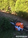 Filename=attachID_26237_postID_240618_IMG_2423.JPG
Filesize=183KiB
Dimensions=750x1000
Date added=Jan 05, 2017 attachID_26237_postID_240618_IMG_2423.JPG