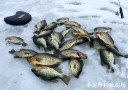 Filename=attachID_26304_postID_241112_IMG_20161228_202803.jpg
Filesize=119KiB
Dimensions=1000x704
Date added=Jan 05, 2017 attachID_26304_postID_241112_IMG_20161228_202803.jpg