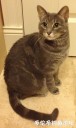 Filename=attachID_26334_postID_241339_IMG_1469.JPG
Filesize=75KiB
Dimensions=597x1000
Date added=Jan 05, 2017 attachID_26334_postID_241339_IMG_1469.JPG