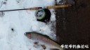 Filename=attachID_26375_postID_241527_20161231_133904.jpg
Filesize=79KiB
Dimensions=1000x562
Date added=Jan 05, 2017 attachID_26375_postID_241527_20161231_133904.jpg