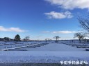 Filename=attachID_26423_postID_241758_IMG_20170101_122520_1.jpg
Filesize=86KiB
Dimensions=1000x750
Date added=Jan 05, 2017 attachID_26423_postID_241758_IMG_20170101_122520_1.jpg