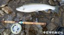 Filename=attachID_26442_postID_241944_20170102_095520.jpg
Filesize=117KiB
Dimensions=1000x562
Date added=Jan 05, 2017 attachID_26442_postID_241944_20170102_095520.jpg