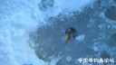 Filename=attachID_26473_postID_242208_WP_20170101_16_06_02_Pro.jpg
Filesize=59KiB
Dimensions=1000x563
Date added=Jan 05, 2017 attachID_26473_postID_242208_WP_20170101_16_06_02_Pro.jpg