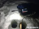attachID_26651_postID_243703_IMG_2336.JPG