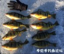 Filename=attachID_26656_postID_243752_IMG_0063.JPG
Filesize=97KiB
Dimensions=759x640
Date added=Jan 22, 2017 attachID_26656_postID_243752_IMG_0063.JPG