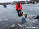 Filename=attachID_26672_postID_243890_IMG_0793.JPG
Filesize=136KiB
Dimensions=1000x750
Date added=Jan 22, 2017 attachID_26672_postID_243890_IMG_0793.JPG
