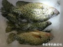 Filename=attachID_26713_postID_244092_IMG_20170115_193013.jpg
Filesize=148KiB
Dimensions=1000x750
Date added=Jan 22, 2017 attachID_26713_postID_244092_IMG_20170115_193013.jpg