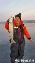 Filename=attachID_26732_postID_244330_kbay_1.jpg
Filesize=50KiB
Dimensions=562x1000
Date added=Jan 22, 2017 attachID_26732_postID_244330_kbay_1.jpg