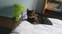 Filename=attachID_26898_postID_245744_IMG_20170118_120803.jpg
Filesize=55KiB
Dimensions=1000x562
Date added=Mar 25, 2017 attachID_26898_postID_245744_IMG_20170118_120803.jpg